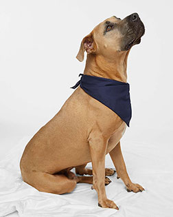 Navy product color