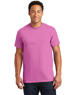 Azalea product color