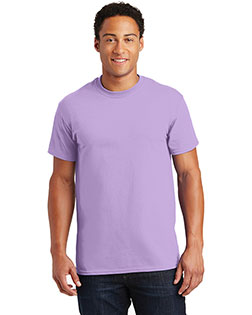 Orchid product color
