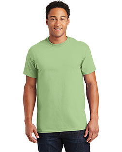 Pistachio product color