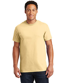 Vegas Gold product color