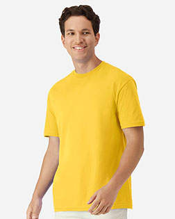 Daisy product color