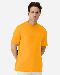 Gold product color