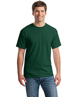 Forest product color