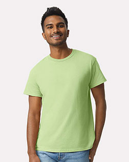 Pistachio product color