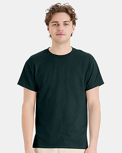Deep Forest product color