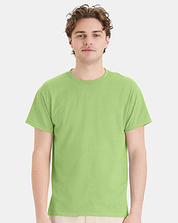Lime product color
