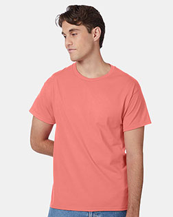 Charisma Coral product color