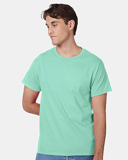 Clean Mint product color