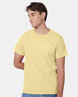 Daffodil Yellow product color