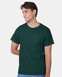 Deep Forest product color
