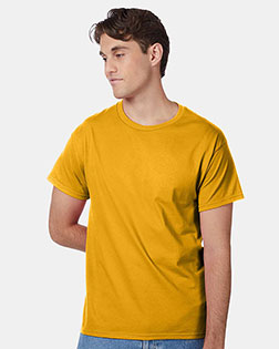 Gold product color