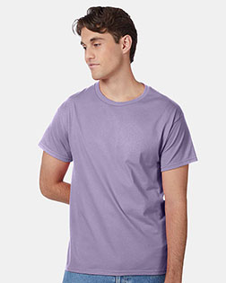 Lavender product color