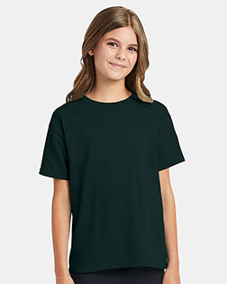 Deep Forest product color