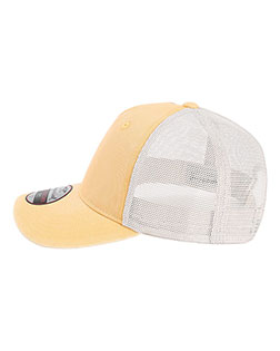 Apricot/ Stone product color