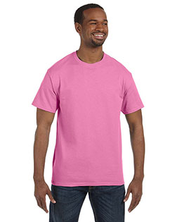 Azalea product color