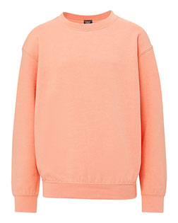 MV Sport 23154Y Youth Buddy Crewneck Sweatshirt at GotApparel