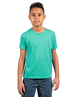 Next Level 3312 Boys Cvc Crew Tee at Got Apparel