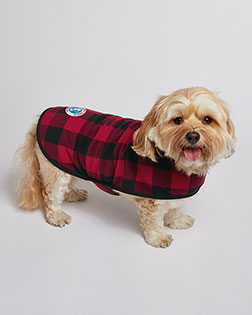 Red/ Black Buffalo Check product color