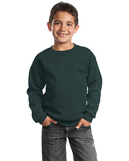 Port & Company PC90Y Boys Crewneck Sweatshirt at GotApparel