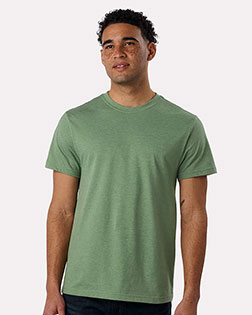 Fern product color