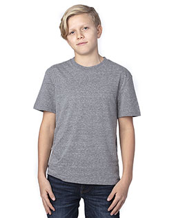 Threadfast Apparel 602A Youth 4.2 oz Triblend T-Shirt at GotApparel