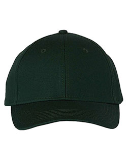 Forest product color